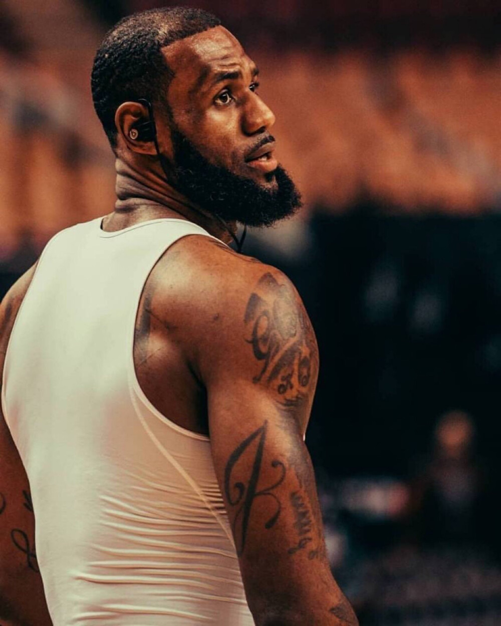 女子职业篮球联盟MVP候选名单（女子职业篮球联盟MVP入围名单）