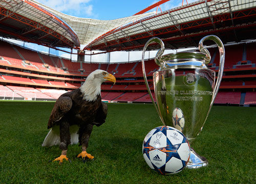 身背两黄，德容与卡萨多在欧冠再吃黄牌就要停赛（德容、卡萨多已两黄在身，欧冠再领黄牌将被停赛）